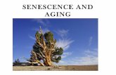 Senescence and aging   plaphlec