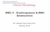 Lec 2 erythropoesis & rbc senescence
