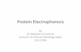 Essentials in Protein Electrophoresis