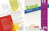 Zing Company brochure