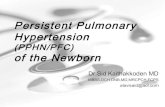 Pulmonary Hypertension of the Newborn - all you need to know