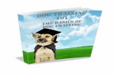 Dog training 101 - Learn The Techniques The Dog Training Schools Use