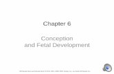 Chapter 006 conception and fetal dev audio