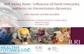 Rift Valley fever: Influence of herd immunity patterns on transmission dynamics