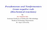 Pseudomonas and nonfermenters (biochemical)بكتريا عملي