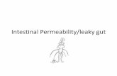 Intestinal permeability ppp i