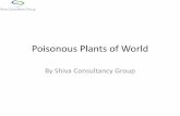 Poisonous plants of world