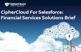 CipherCloud for Salesforce: Financial services