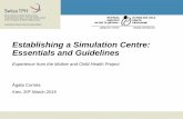 Establishing a Simulation Centre: Essentials and Guidelines