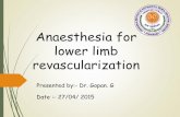 Anesthesia for Lower limb revascularization