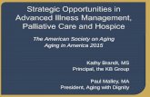 Strategic Opportunities in Advanced Illness Management, Palliative Care and Hospice