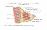 Mammary gland and its birth anomalies with characteristics in other mammalian mammary glands
