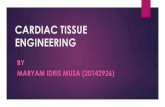 Cardiac tissue engineering