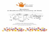 Rooibos - A Biodiversity Economy at Risk - Teacher Handbook for School Gardening