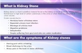 Stonhills A Natural Way For healthy Kidney.