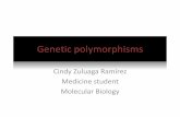 Genetic polymorphisms