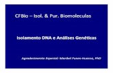 Aula dna-extraction-purification emanuel-20_11_12.ppt-11(1)