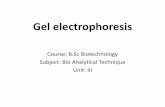 B.Sc Biotech II BAT Unit 3 Electrophoresis