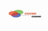 Cosmo Branding and Marketing Portfolio