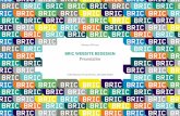 BRIC Website Redesign