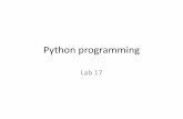 Python programming lab 17