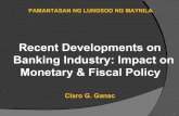 Monetary and fiscal policy response and recent developments