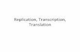 Replication, transcription, translation2012