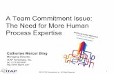 Team commitment issue & human process expertise