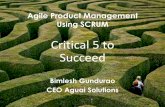 Critical 5 to succeed as agile product manager using scrum