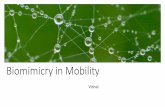 Biomimicry in mobility