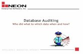 Database auditing essentials