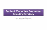 Content Marketing Promotion Branding Strategy