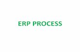 Erp process (training)