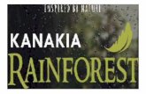 Kanakia Rainforest Andheri East Mumbai Location Map Price List Floor Site Layout Plan Review Brochure