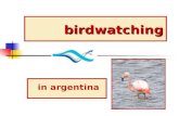Birdwatching argentina