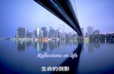 Reflections on Life  生命的倒影