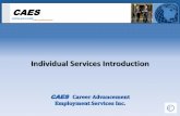 CAES Individual Services Introduction