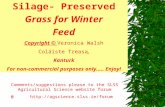 Silage  preserved grass for winter feed