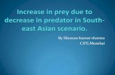 Prey predator in se indian cean