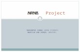 NRNB project Stoichiometry Plugin
