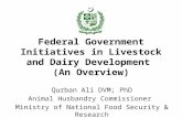 Federal Government Initiatives in Livestock and Dairy Development (An Overview) Fdr qurbant1