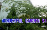 Wonderful garden 5.