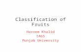 Classification of fruits
