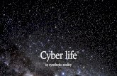 Cyber life in Syntethic Reality [infusion 20th february 2015]