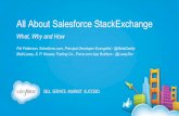 Pushing the Boundaries: The Best of Salesforce StackExchange