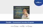 Flexible - Customized Incentive Program