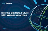 Into the Big Data Future with Watson Analytics