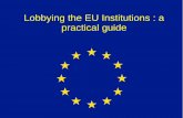 Lobbying the EU Institutions : a practical guide