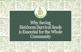 Why Saving Heirloom Survival Seeds is Essential for the Whole Community