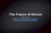 The Future of Bitcoin - State of Digital Money 2015 conference